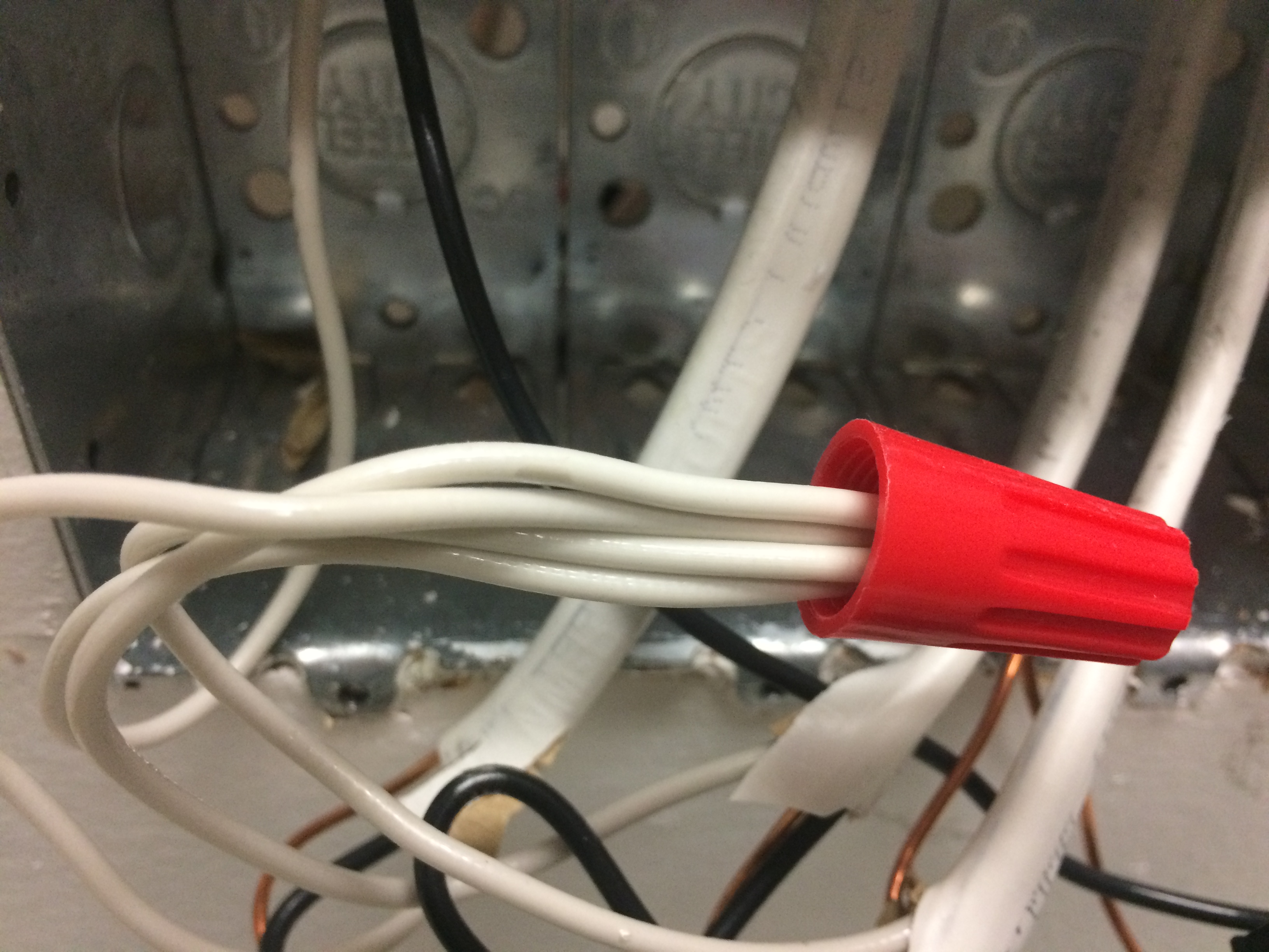 How To Identify The Live (L) And Neutral (N) Wires In An Electrical Cord